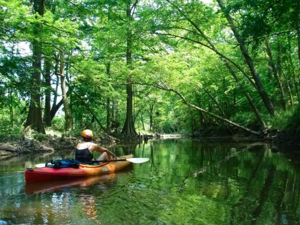 Fourche Creek