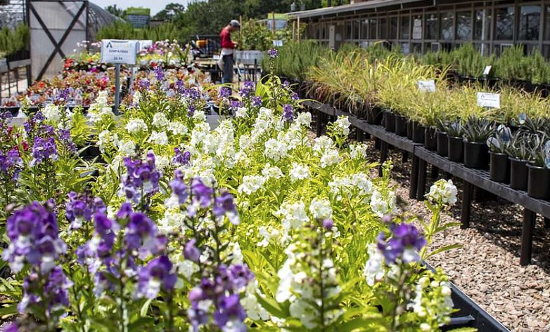 Little Rock Garden Club