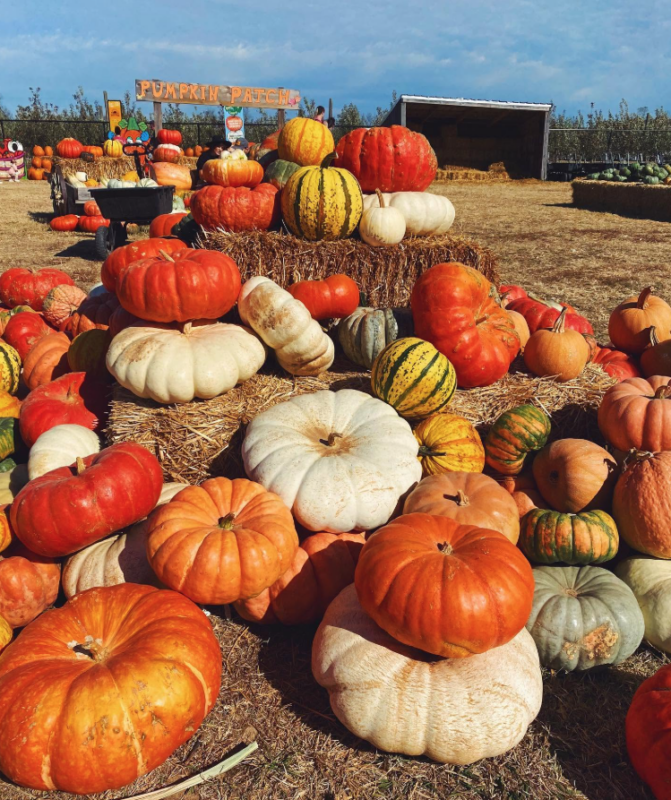 Fall in Arkansas